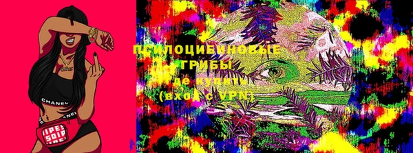 мяу мяу мука Медвежьегорск