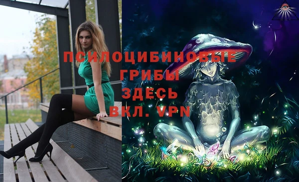мяу мяу мука Медвежьегорск
