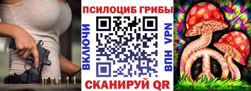 Галлюциногенные грибы Psilocybine cubensis  Темрюк 