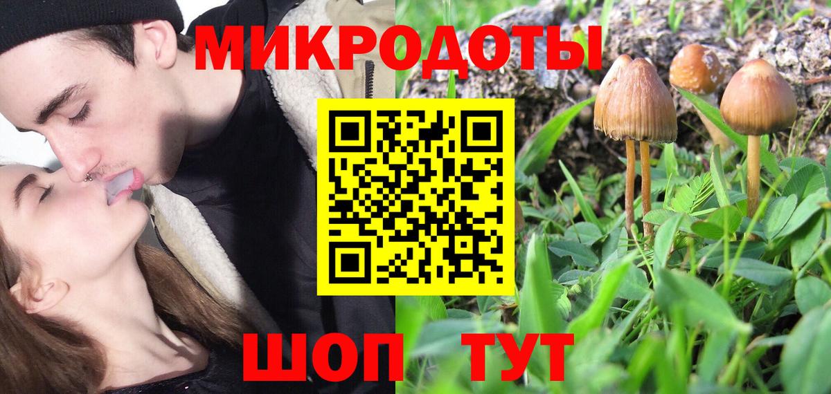 Галлюциногенные грибы Psilocybine cubensis Темрюк